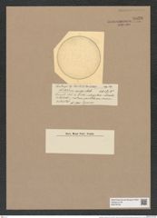 Stictodiscus anceps Castr. (de-Toni-Nr.: Genus 205, Species 5234) Zeichnungen Sammlung Grunow Nr. 9030 (NHMW-BOT-W0378749)